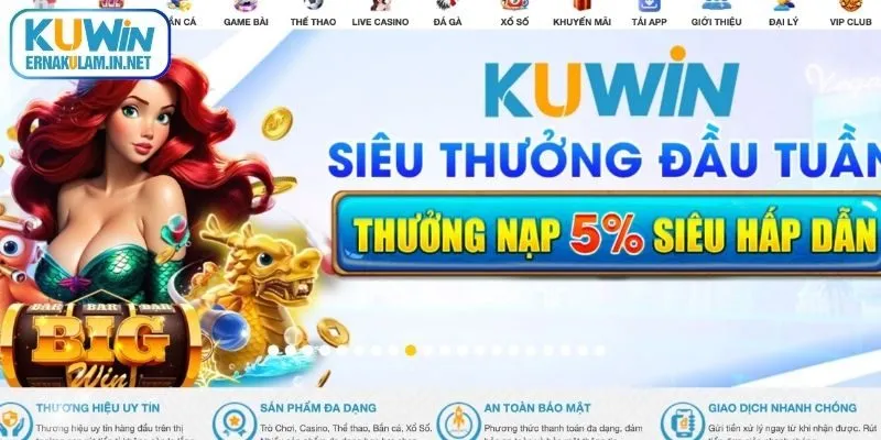 Đôi nét về chúng tôi dành cho hội viên mới