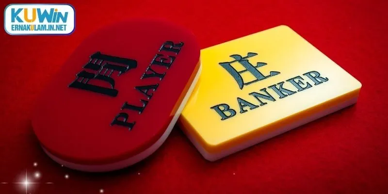 Phân tích chiến lược cược hiệu quả nhất